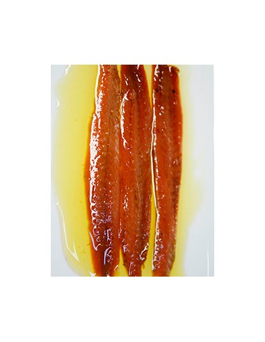 Anchoas del Cantábrico