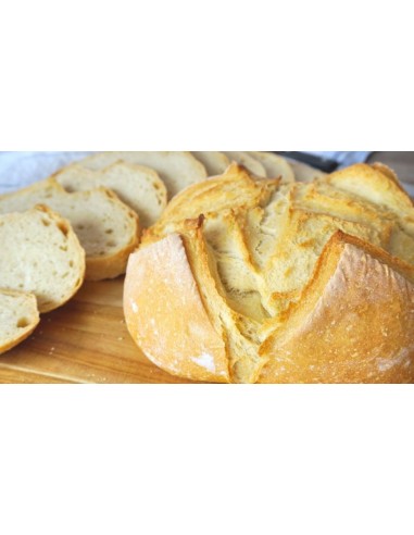 Descubre el mejor pan sin gluten | Panxon Contigo