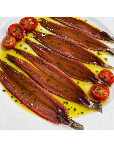 Anchoas del Cantábrico